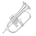 Flügelhörner