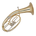 Tenorhörner