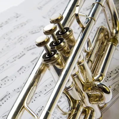 Yamaha YTR-3335 Bb-Trompete Yamaha YTR-3335 Bb-Trompete