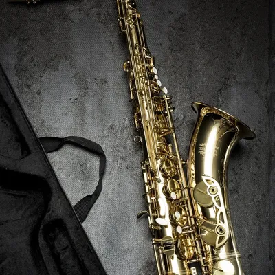 Yamaha YAS-280 Alt-Saxophon Yamaha YAS-280 Alt-Saxophon